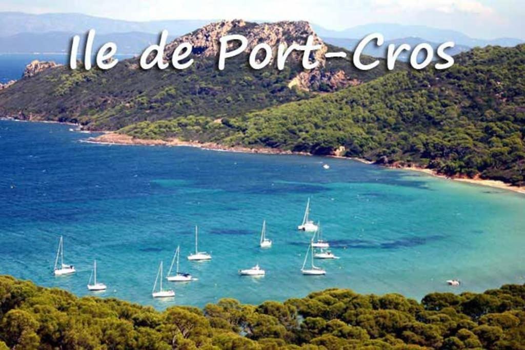 Studio Port De Hyeres Proche Des Plages Zewnętrze zdjęcie